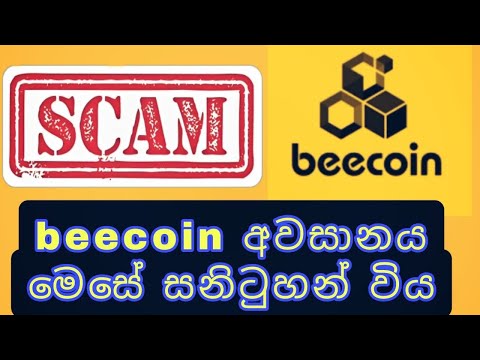 beecoin එකෙත් අවසානයද මේ? ඊලගට මොකක්ද? beecoin scam #beecoin #mtfe #onmaxdt #crypto #earnmoneyonline