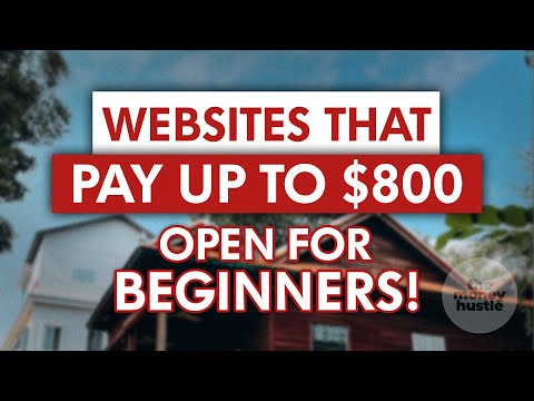 GET PAID $800 FAST! Beginners Guide to Making Money Online 2023