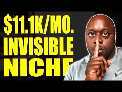 Invisible $11K Per Month Niche Revealed | How To Make Money Online In 2023