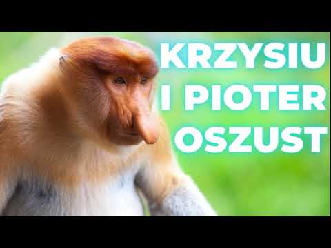 Rozmowy z oszustami - Krzysiu nowy inwestor i Pioter oszust #oszust #scam #oszuści #bitcoin