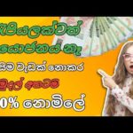 img_109733_how-to-earne-money-sinhala-how-to-earn-free-money-online-jobs-at-home-sinhala-e-money-sinhala.jpg