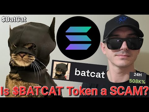 $BATCAT - Is BatCat Token a SCAM?!? BAT CAT SOL SOLANA MEMECOIN CRYPTO COIN RAYDIUM JUPITER BIRDEYE