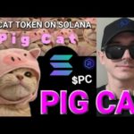 img_111971_pc-is-pig-cat-token-a-scam-pc-sol-solana-crypto-coin-pigcat-raydium-jupiter-birdeye-orca-meme.jpg