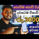 img_113167_how-to-earn-money-sinhala-2024-online-jobs-sinhala-e-money-sinhala-earn-crypto-app-sinhala.jpg