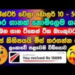 img_114687_online-job-sinhala-online-job-at-home-sinhala-e-money-sinhala-crypto-com-earn-misson-sinhala.jpg