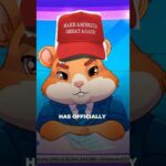 img_114797_presidential-campaign-crypto-donation-hamster-news.jpg