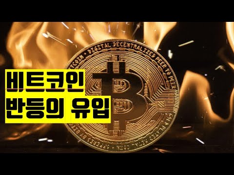 반등 유입 비트코인 뉴스 BITCOIN NEWS ETH XRP SOL AVAX ADA  NFT 2025