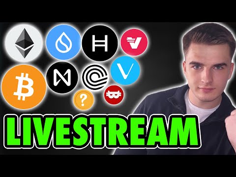 Krypto: Sind wir zurück?! | Bitcoin & Altcoin Livestream