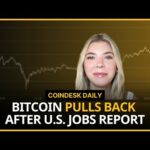 img_115448_u-s-added-272k-jobs-in-may-semler-scientific-buys-17m-more-bitcoin-coindesk-daily.jpg