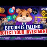 img_115534_today-39-s-top-crypto-news-binance-bitcoin-trump-amp-more-hamster-news.jpg