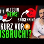 img_115755_bitcoin-sowas-gabs-lange-nicht-alt-season-mythos-krypto-news.jpg