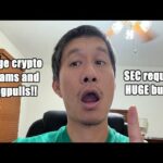 img_115775_big-crypto-scams-and-rugpulls-sec-requests-huge-budget.jpg