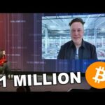 img_116171_elon-musk-bitcoin-and-ethereum-will-pump-after-halving-eth-btc-news.jpg