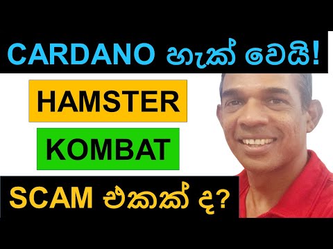 CARDANO HIT WITH A MASSIVE DDoS ATTCK!!! | IS HAMSTER KOMBAT A SCAM?