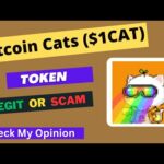 img_116475_bitcoin-cats-1cat-token-is-a-legit-or-scam-is-1cat-token-legit-or-scam.jpg