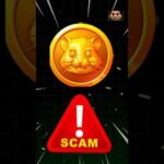 img_116735_hamster-kombat-scam-or-not-hamsterkombat-shorts-bitcoinmining-hamsterkombatairdrop-bitcoin.jpg