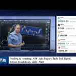 img_116755_trading-amp-investing-adp-jobs-report-tesla-sell-signal-bitcoin-breakdown-gold-alert.jpg