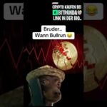 img_116903_bruder-wann-bullrun-bitcoin-crypto-news-ripple.jpg