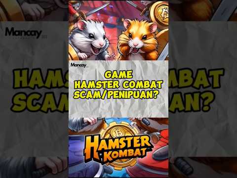 GAME HAMSTER KOMBAT SCAM ? DAILY CHIPER HARI INI #hamsterkombat #hamsterkombatdailycombo #crypto