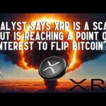 img_117436_analyst-says-xrp-is-a-scam-but-is-set-to-flip-bitcoin.jpg