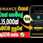 img_117460_binance-free-earn-money-sinhala-binance-new-event-sinhala-e-money-site-today.jpg