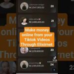 img_117548_elixirnet-make-money-online-by-getting-paid-from-your-tiktok-videos-and-facebook-page-monetization.jpg