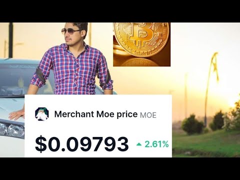 Top 1  ''Hidden Gem'' 10x-100x Altcoin for next Bullrun ? Merchant Moe