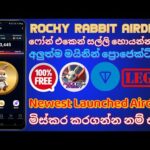 img_117806_rocky-rabbit-airdrop-telegram-mining-project-online-jobs-at-home-online-jobs-work-form-home.jpg