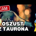 img_118828_rozmowy-z-oszustami-oszust-udaj-cy-tauron-oszustwo-scam-kryptowaluty.jpg