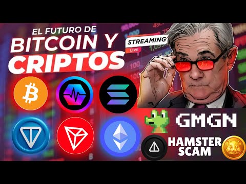 BITCOIN en 63,000 USD - CriptoNoticias | Hamster Kombat Scam | Memes en TRON | Bitcoin y Ethereum