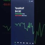 img_119238_terrawulf-wulf-shorts-short-shortvideo-vlog-new-diy-tutorial-crypto.jpg