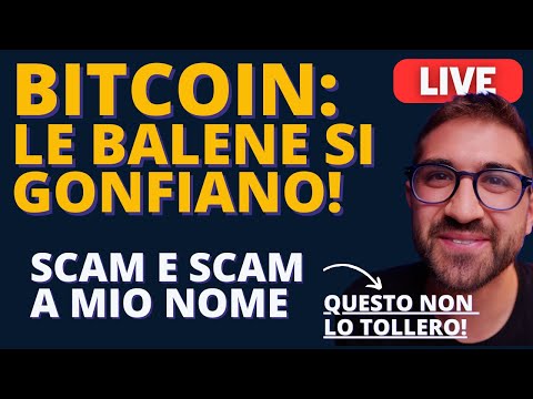 BITCOIN: LE BALENE SI GONFIANO || SCAM E SCAM A MIO NOME (QUESTO NON LO TOLLERO!)