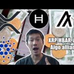 img_119788_ada-xrp-hbar-algo-form-big-crypto-alliance-jobs-data-coming-in-weak-what-39-s-the-effect-on-crypto.jpg