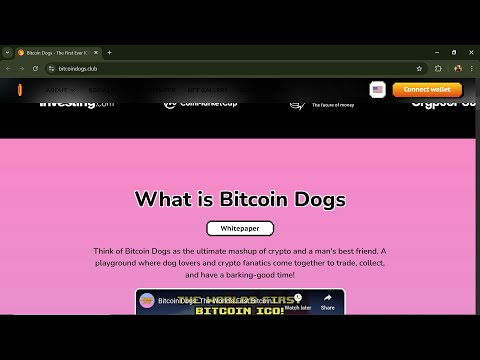 Bitcoin Dogs (0DOG) Token is a Legit or Scam | Is 0DOG token Legit or Scam ?