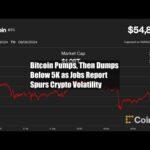 img_120275_bitcoin-pumps-then-dumps-below-55k-as-jobs-report-spurs-crypto-volatility.jpg