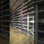 img_121843_massive-1200-unit-bitcoin-mining-farm-crypto-whatsminer-taslauniversity-cryptomining.jpg