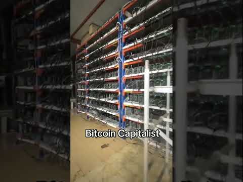 Massive 1200 unit Bitcoin mining farm #crypto #whatsminer #taslauniversity #cryptomining