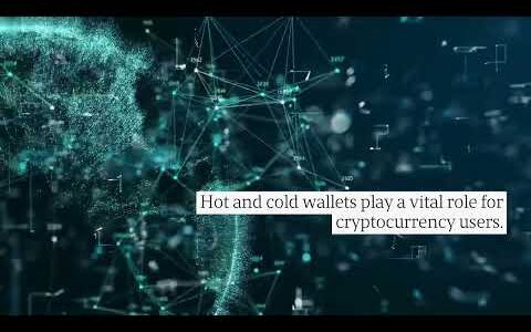 Read Crypto Merchant’s Guide To Hot & Cold Wallet Info: Beginners Start Here!