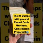 img_122584_the-1-dumps-with-pin-and-cloned-cards-merchant-come-bitcoin-prepared-i-blogger-vlogger-youtuber.jpg