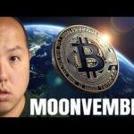 img_122624_bitcoin-holders-moonvember-is-here.jpg