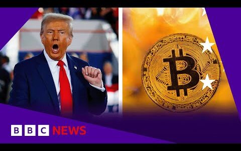 US shares and Bitcoin hit record high on Donald Trump win | BBC News