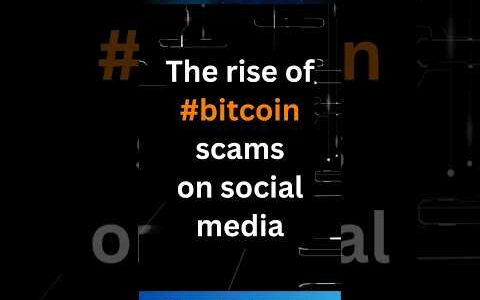 The Rise of Bitcoin Scams on Social Media #AMA