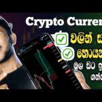 img_122960_online-jobs-sinhala-crypto-full-course-sinhala-crypto.jpg