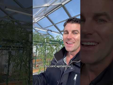 Bitcoin mining greenhouse