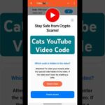 img_123454_stay-safe-from-crypto-scams-stat-safe-from-crypto-scam-cats-code-cats-video-code.jpg