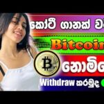 img_123670_earn-free-bitcoin-without-investment-earn-money-online-sinhala-2024-online-jobs-at-home-lk.jpg