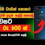 img_123796_online-money-sinhala-online-jobs-sinhala-free-usdt-minning-free-usdt.jpg