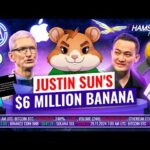 img_123874_harakiri-for-fraud-tim-cook-s-crypto-stance-and-pump-fun-s-huge-failure-hamster-news.jpg