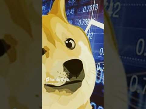 Precisamos falar sobre a Doge coin #memecoin #bitcoin #bitcoinnews #bitcoinmining #elonmusk #cripto