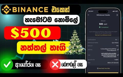 Binance එකෙන් නොමිලේ $500 ක් 😍 | binance free usdt sinhala | free usdt sinhala